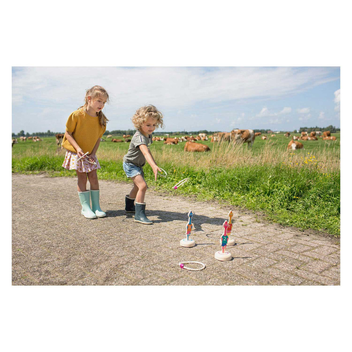 BS Toys Ringwerpen Vogels Hout Werpspel