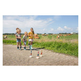 BS Toys Ringwerpen Vogels Wood Rzuting Game