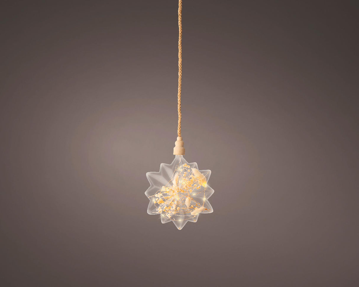 Lumineo micro estrela LED com flores secas ø 19cm