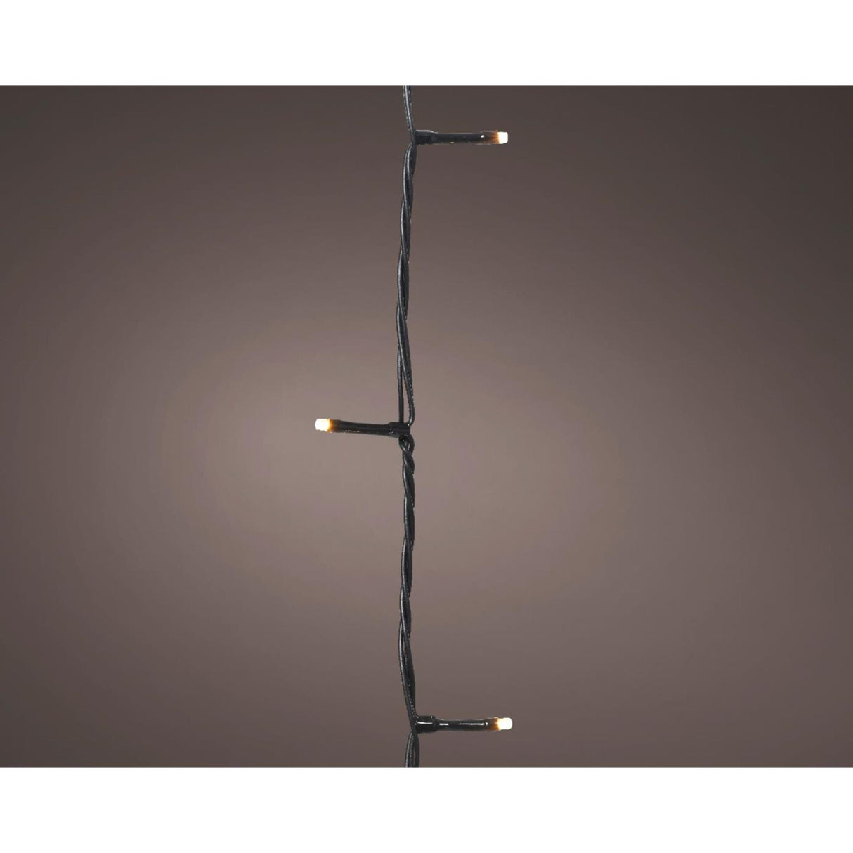 Lumineo basic Christmas lights 240led champagne
