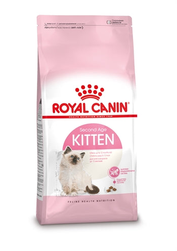 Chaton de canin canin royal canin