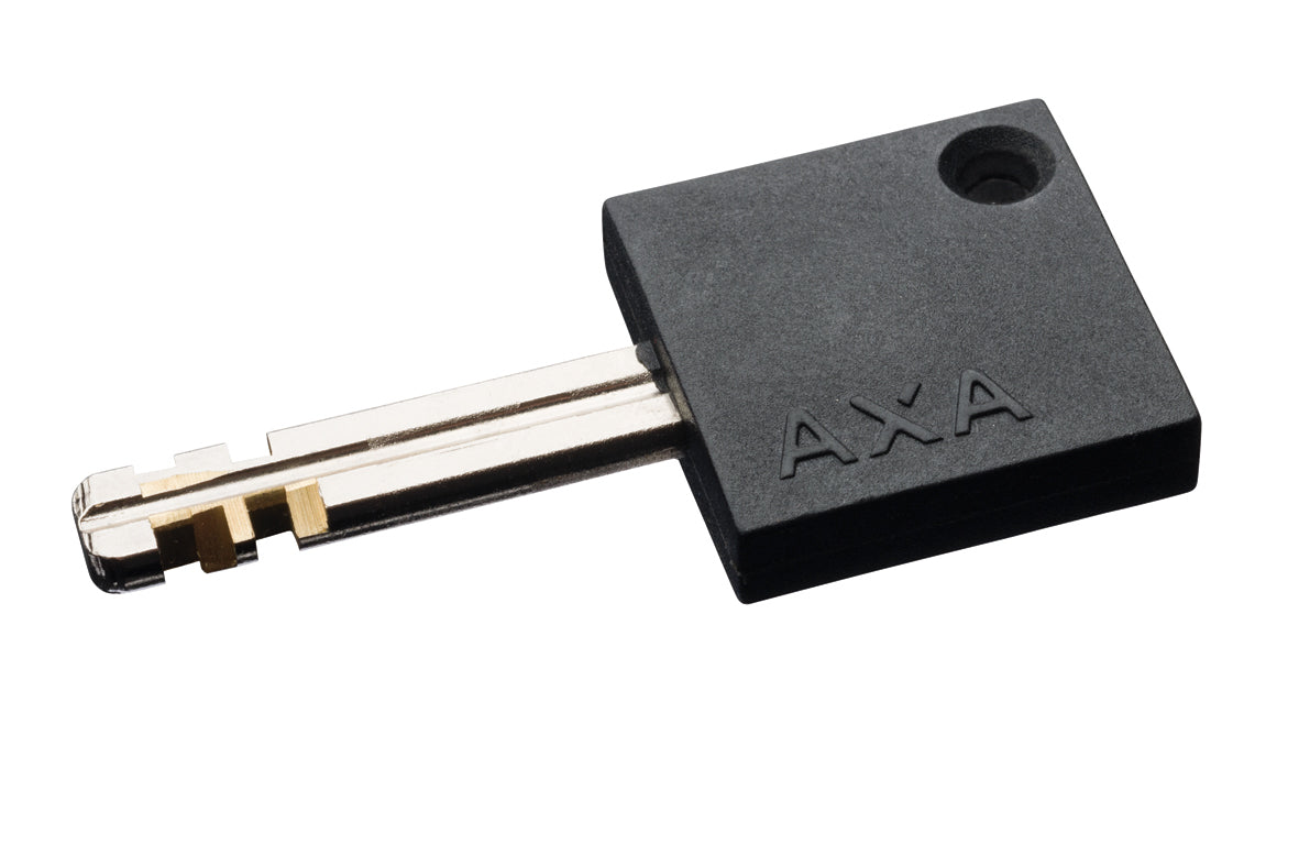 Verrouillage du support Axa Newton U-23 cm - acier terminé