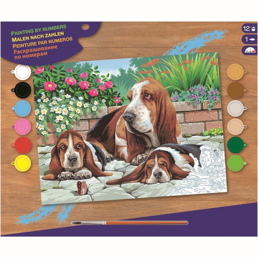 Basic Painting on number Basset Dogs