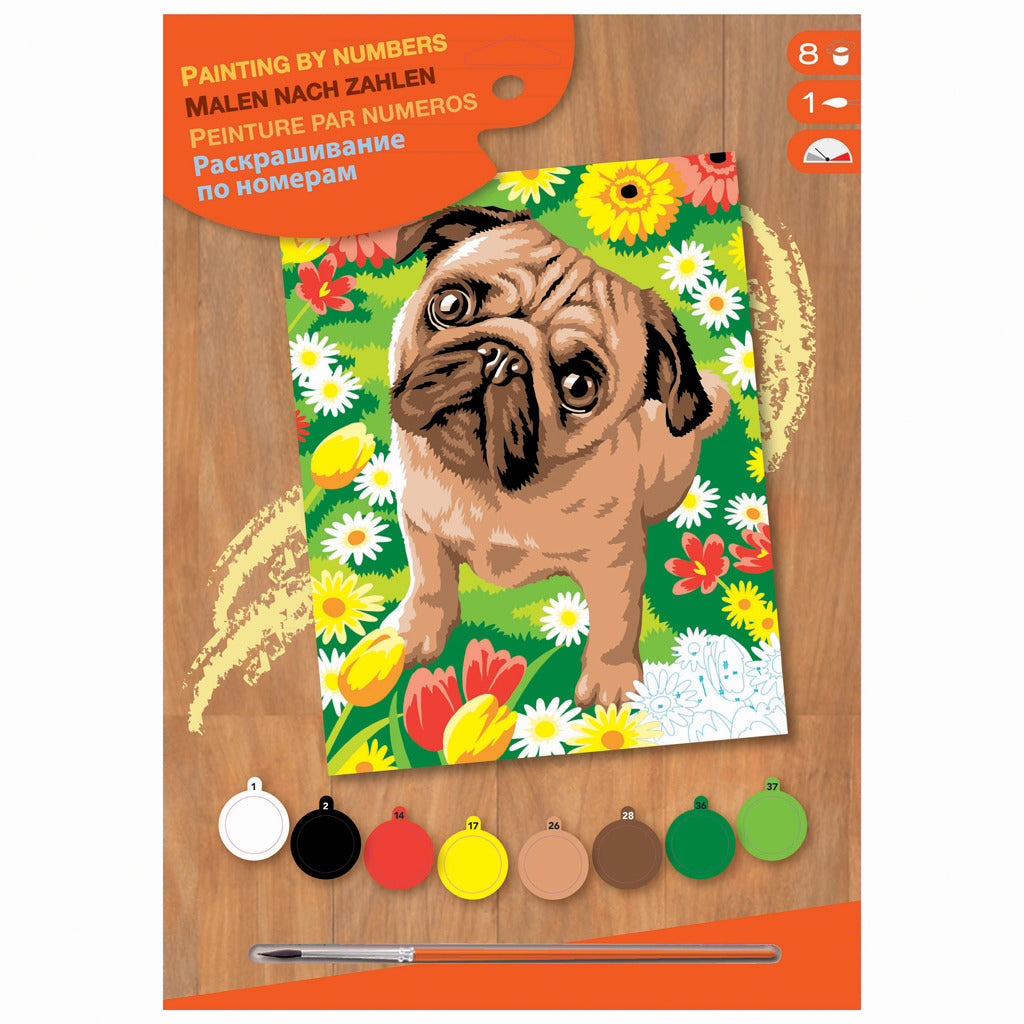 Peinture de base au numéro de pug chien