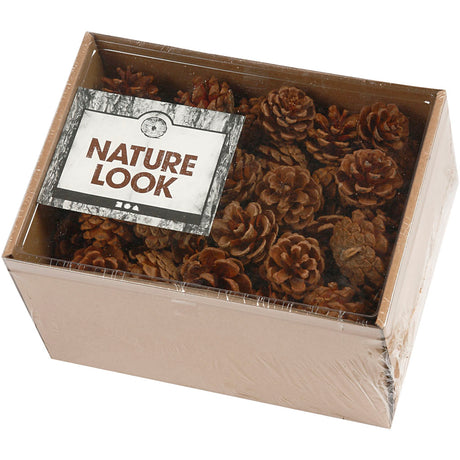 Borové šišky Creativ company, d 40 mm, cca. 60 kusů, 500 g 1 krabice