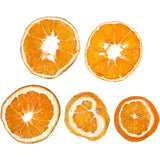 Https: www.cchobby.nl dried-orange-pieces-d-40-60-mm-5-piece-1-box