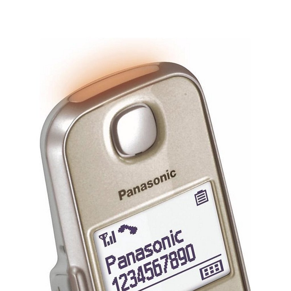 Panasonic KX-TGE210NLN DECT Téléphone Gris blanc