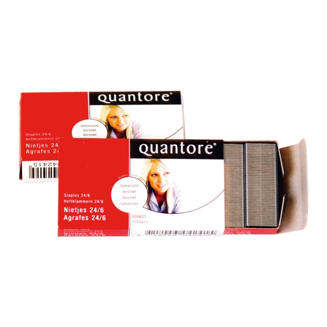 Staple quantore 24 6 1000 pieces galvanized