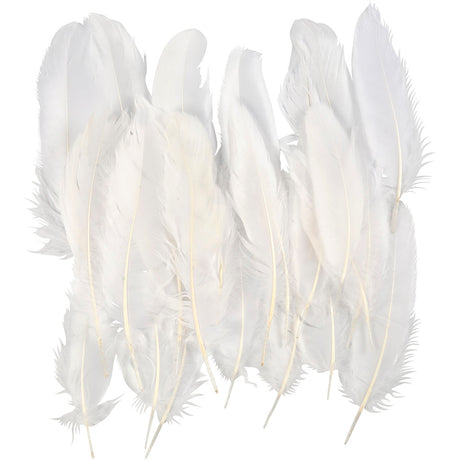 Creativ company feathers, size 10-18, white, 70 pieces 1 bag