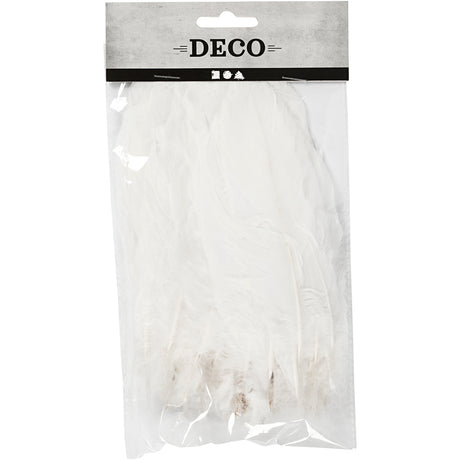 Creativ company feathers, size 10-18, white, 70 pieces 1 bag
