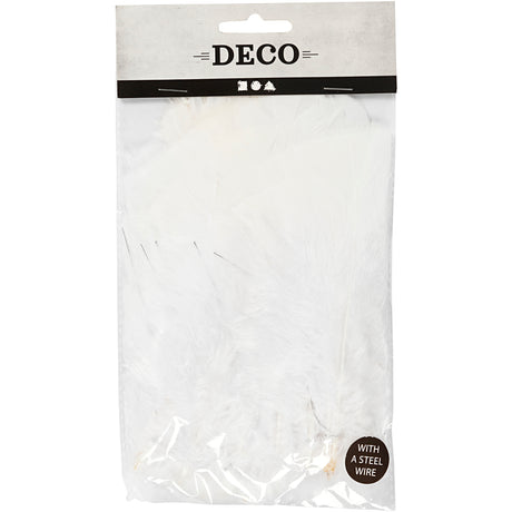 Creativ company feathers, l: 11-17 cm, white, 18 ball 1 box
