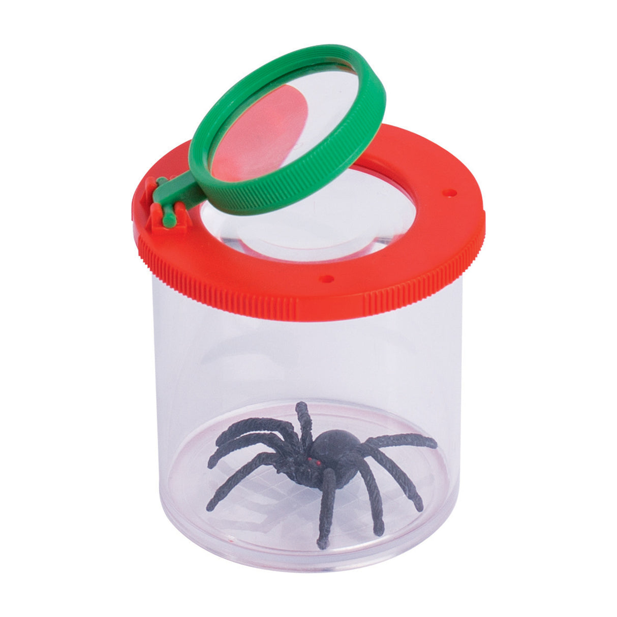 Goki insect jar with magnifying glass