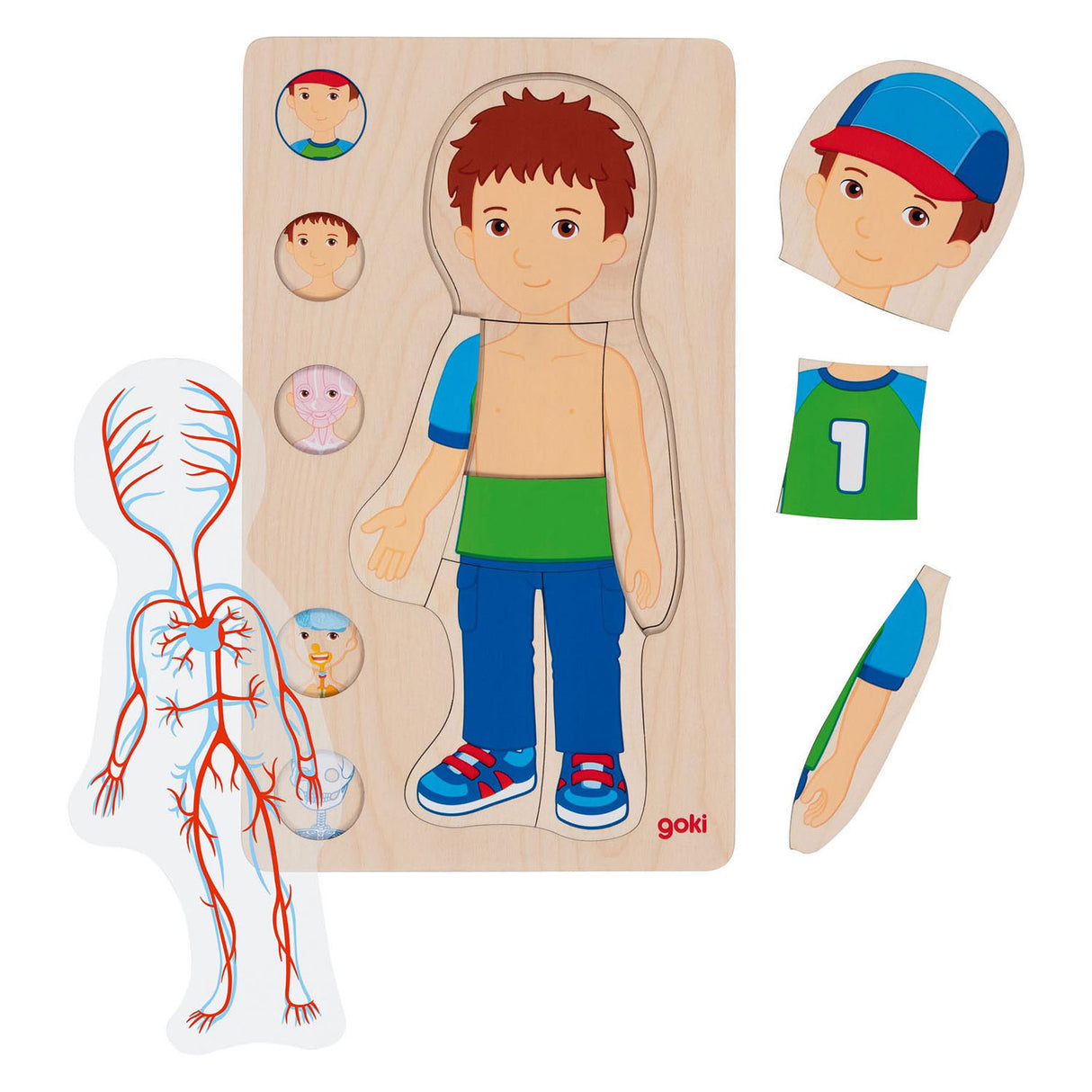 Goki Madera Capa Puzzle Human Body Boy, 29 °.