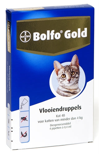 Bolfo Gold Kaz Flou fällt