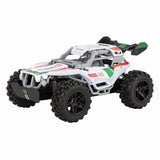 Carrera rc 2.4ghz team rider - 1:20