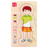 Small foot wooden body puzzle boy, 29st.