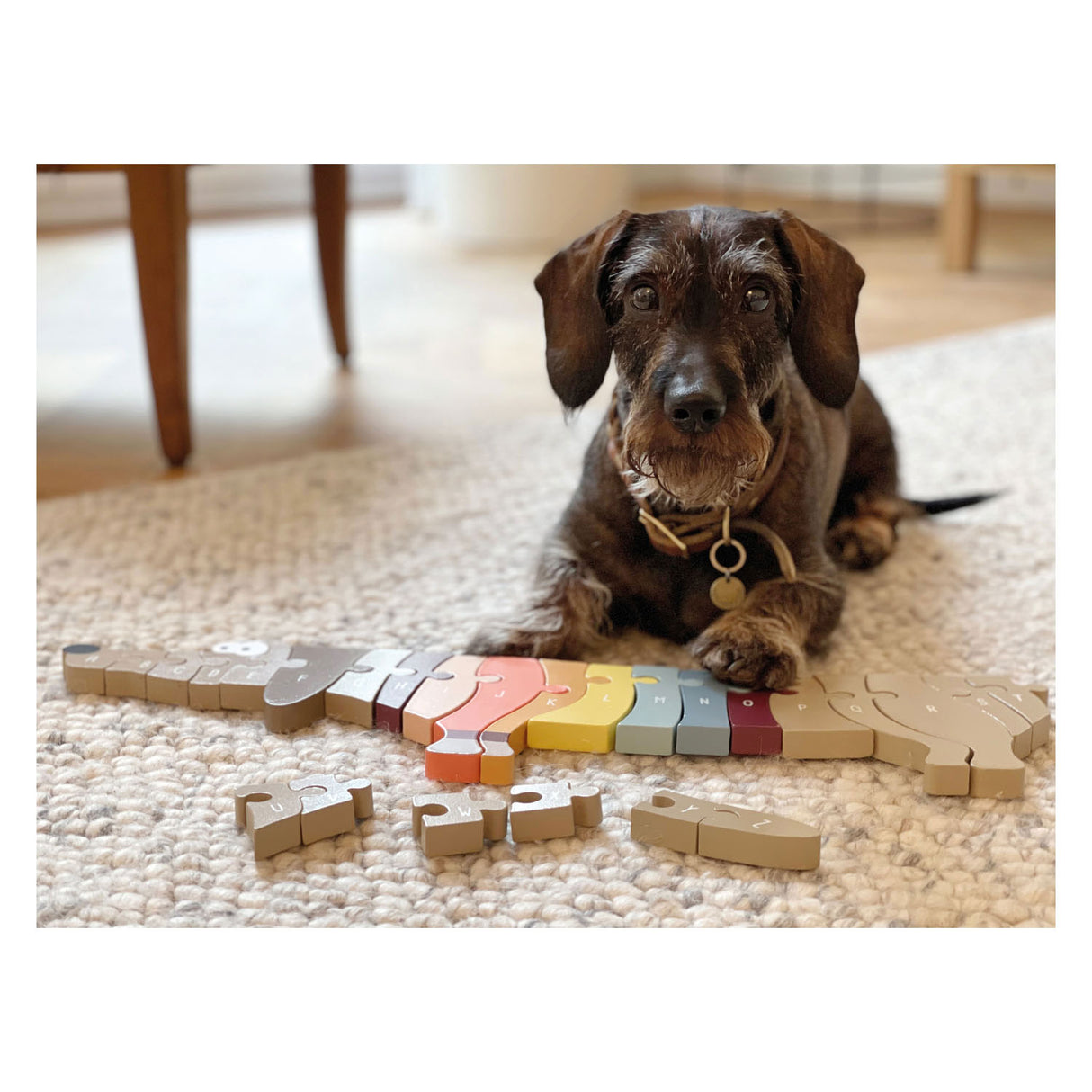 Small Foot Houten Letteren Vormenpuzzel Hond, 26st.