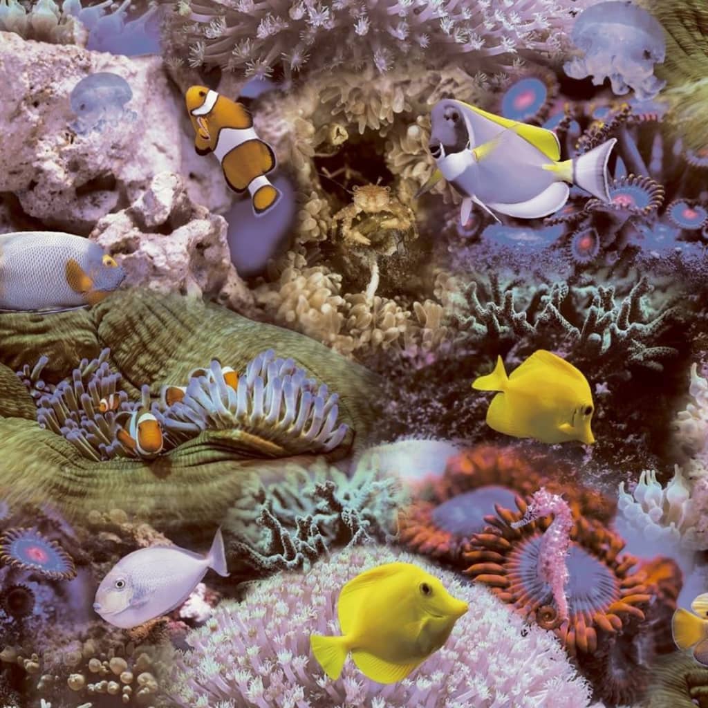 Noordwand noordwand fondos de pantalla buenos vibraciones de coral y peces tropicales geel y púrpura