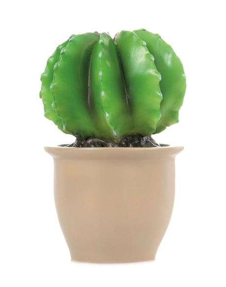 Egmont Lampe Kaktus a Blummenpot 27x16,5