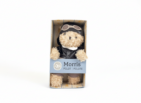 Egmont Kuscheltier Pilot Bär in Geschenkverpackung