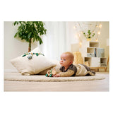 Eichhorn baby hipp wooden push-along donkey