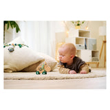 Eichhorn baby hipp wooden push-along donkey