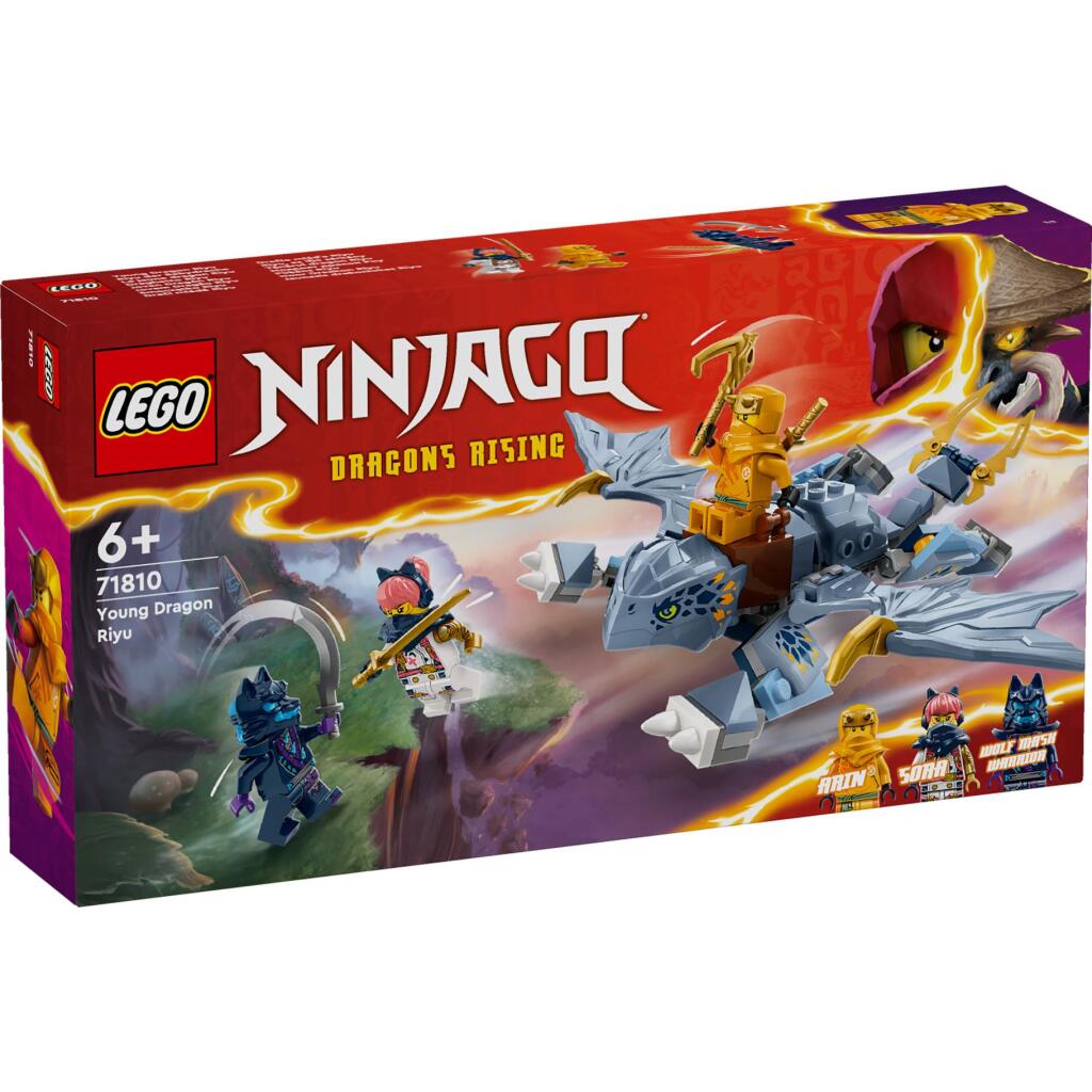 Lego ninjago 71810 young dragon riyu