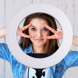 Studioking LED Ring Light Set LED-480ASK on 230V