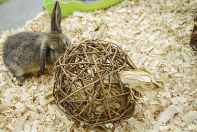 Natur erster Playball Weide Natur zuerst