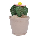 Pluchiez plush plants 15 cm assorted | 16 pieces