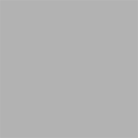 Superior background paper 72 fossil gray 1.35 x 11 m