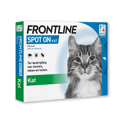 Frontline Kat Spot sur