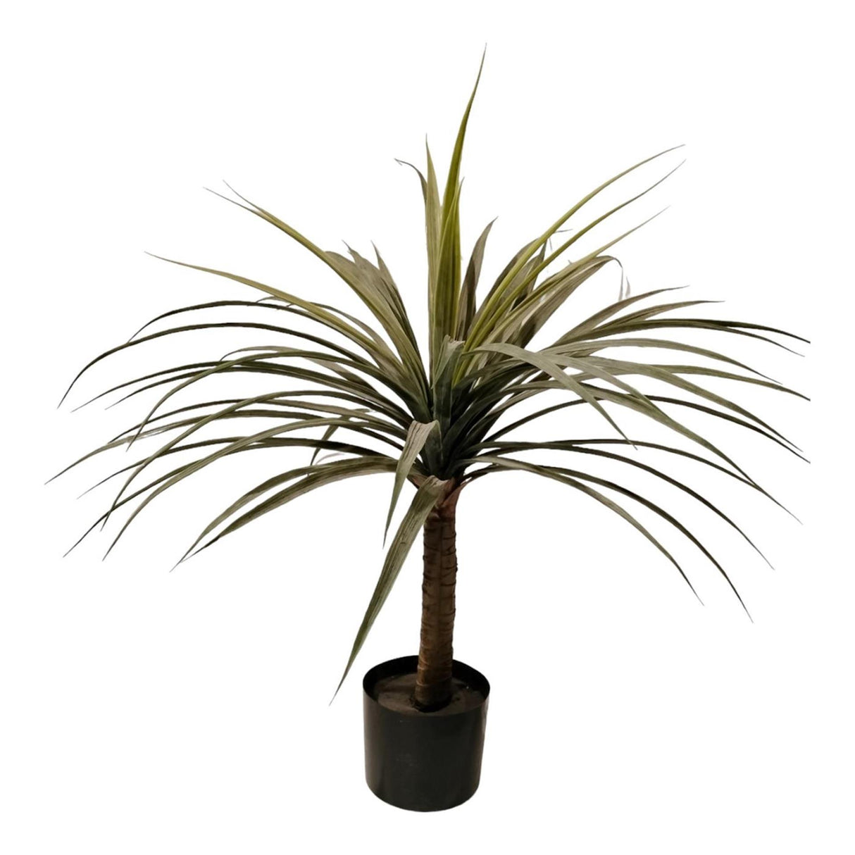 Mansion Atmosphär kënschtlech Planz Dracaena 80cm