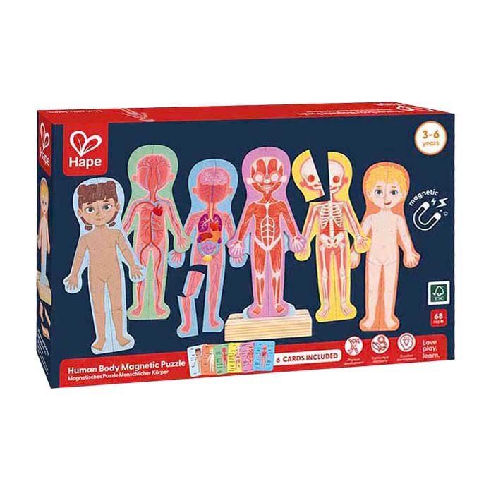 Hape människokroppens magnetiska pussel - 63 bitar.