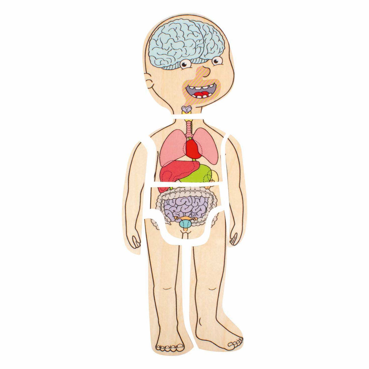Beleduc wooden layer puzzle girl - 5 layers