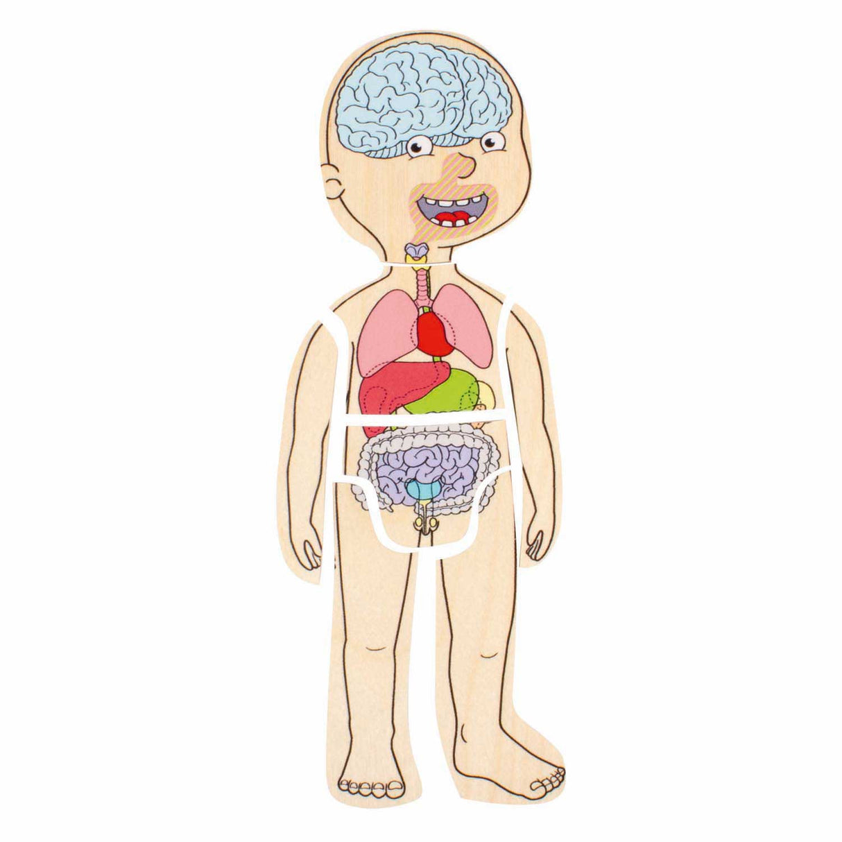 Beleduc wooden layer puzzle boy - 5 layers