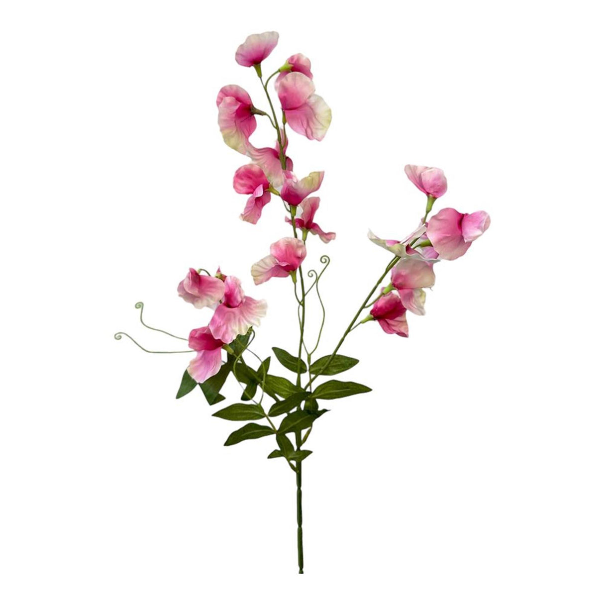Roberts collection artificial flower sweet pea spray 75cm pink