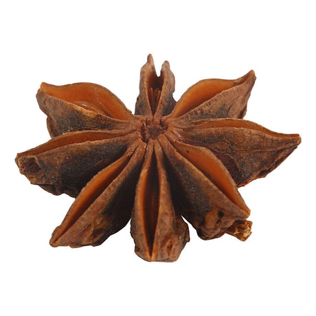 Creativ Firma https: www.cchobby.nl star-anise-10-piece-1-box