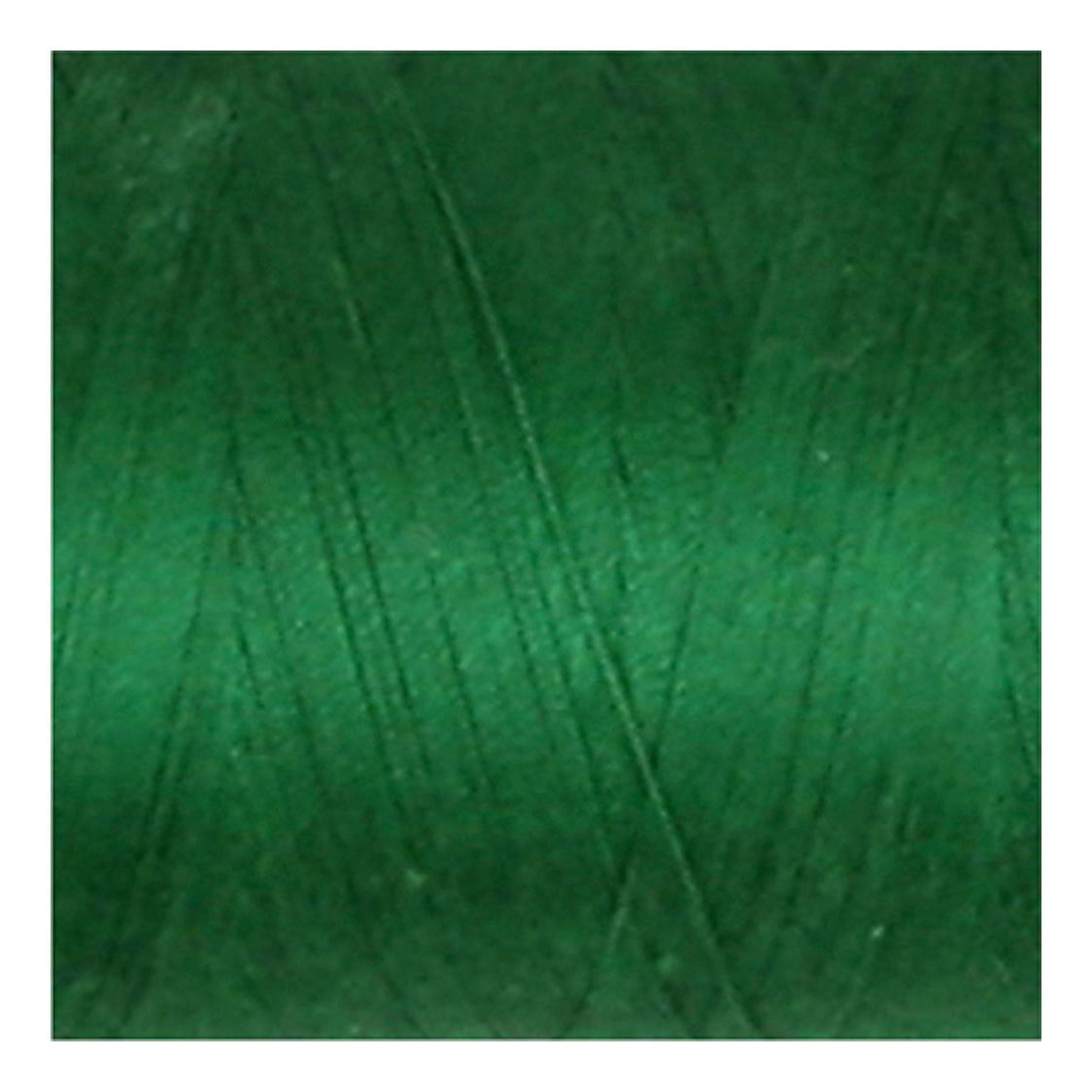 Creativ Company sewing thread green, 1000m