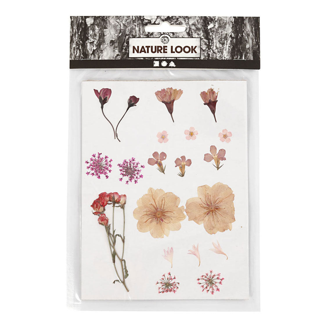 Creativ Company Dried Flowers And Leaves Light Pink