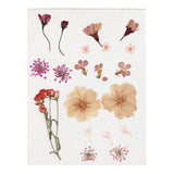 Creativ Company Dried Flowers And Leaves Light Pink