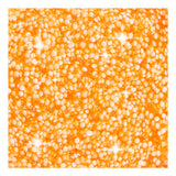 Creativ company https: www.ccobby.nl foam-clayr-glitter-orange-35-gr-1-doosje