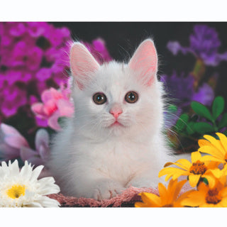 Ravensburger Puzzel schéine Kitten - Puzzel - 100 XXL Stécker