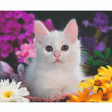 Ravensburger Puzzel schéine Kitten - Puzzel - 100 XXL Stécker