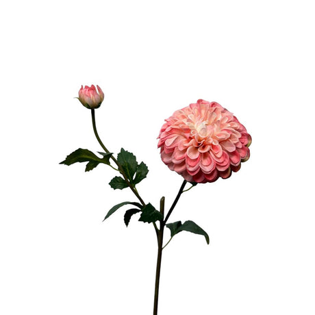 Roberts Collection kënschtlech Blummen Dahlia Spray 74cm Pärel