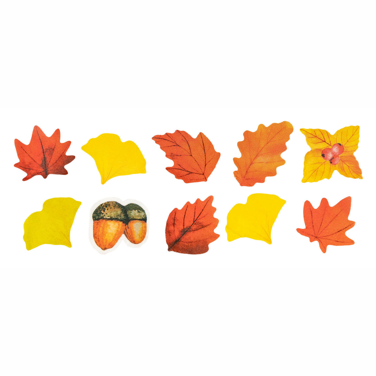 Colorations - Washi Stickers Autumn Theme on Rol, 80th.