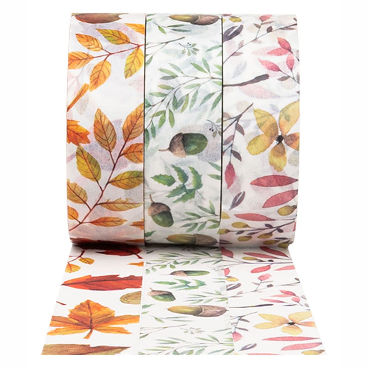 Colorations - Washi Tape Automne Feuilles 3 rouleaux, 5mtr.