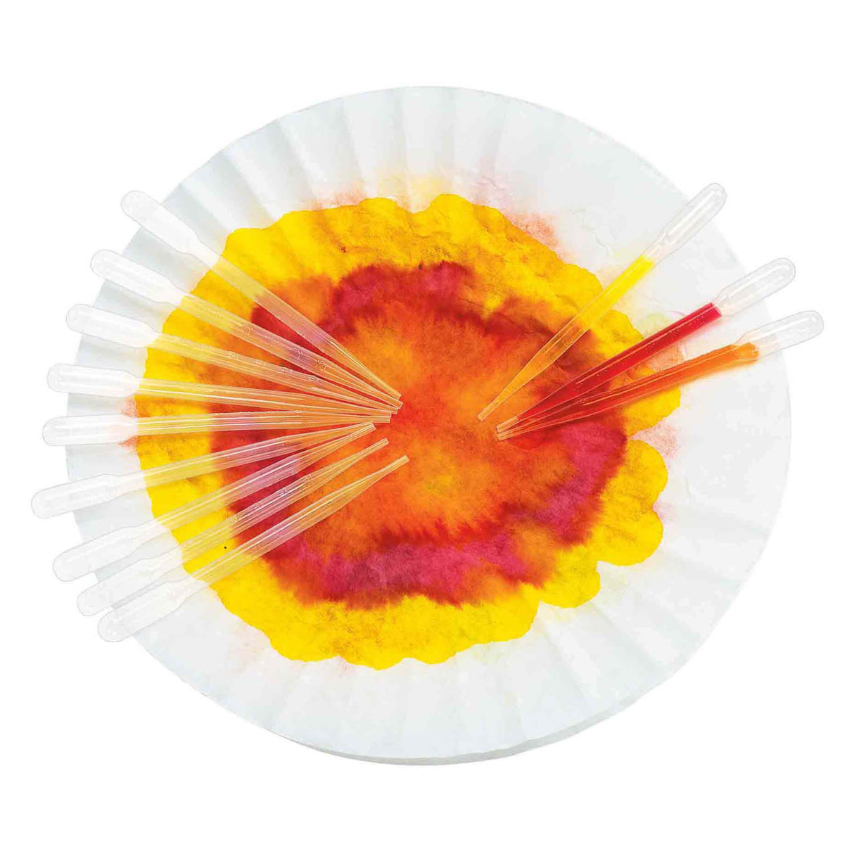 Colorations - droppers 15cm, 12 pcs.