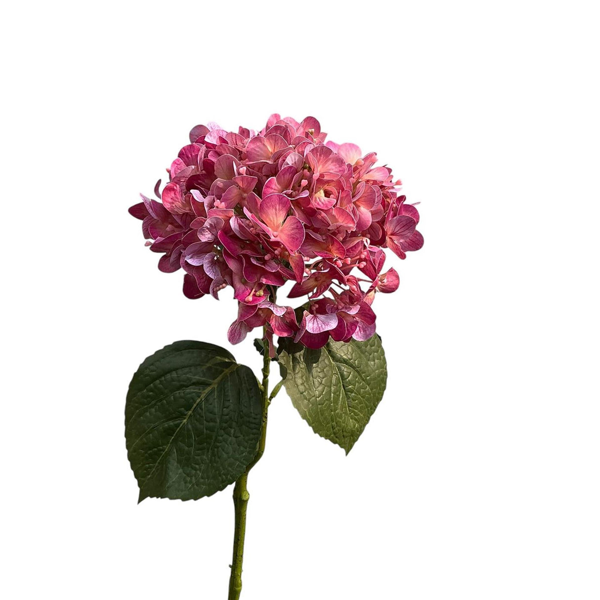 Roberts collection hydrangea real touch 75cm mauve