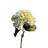 Roberts Collection Hydrangea Real Touch 75cm Crème